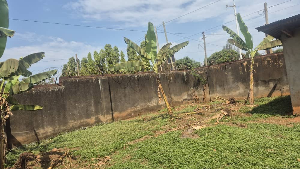 Factory for Sale – Mbale CityPrime industrial property available in a strategic location within Mbale City.